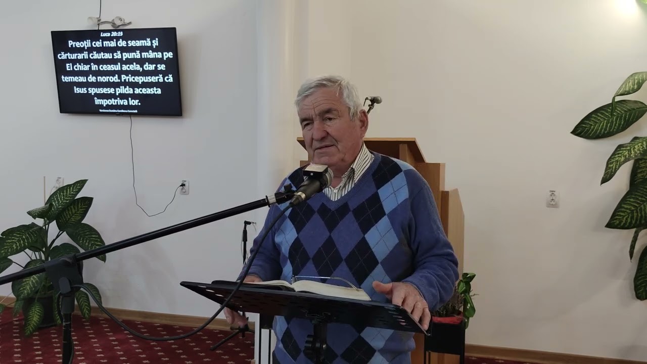 B.E.R. Timișoara |  Avram  Crișan | 1 Martie 2026 - duminica seara