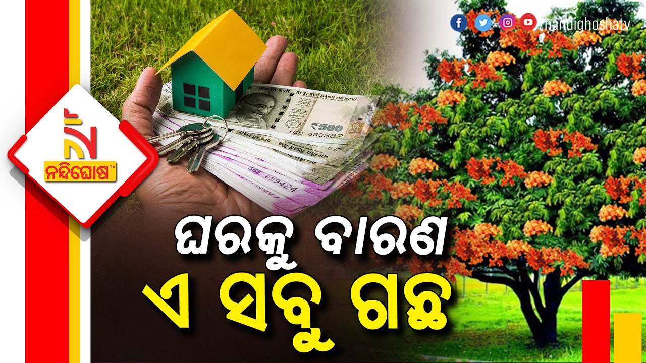 Never Keep These Plants In Your Home; They Bring Bad Luck | NandighoshaTV