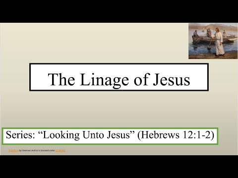 Video preview