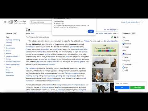 Flashcard Summarizer video preview 2