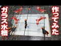 ガラス水槽 自作【自作と採集で水草水槽立ち上げ ADA2023】DIYで作ってみた