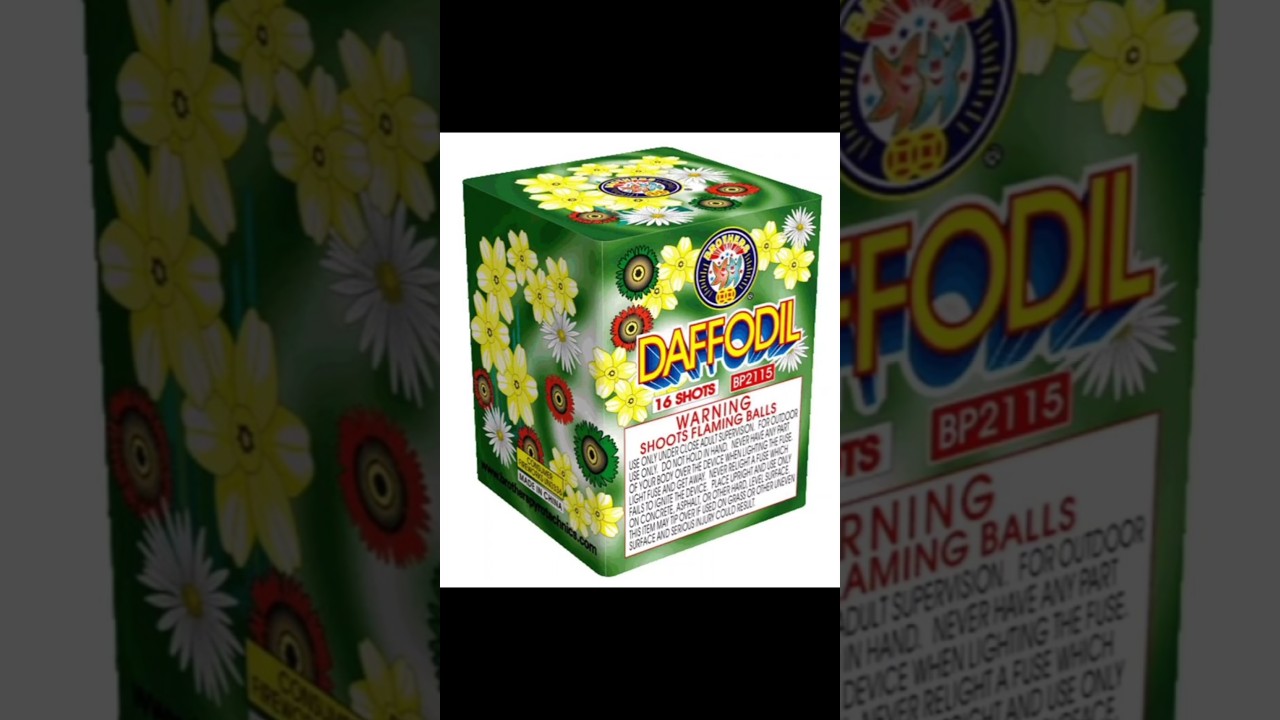 Daffodil 16 Shots 200gram Cake #fireworks #celebration #art #fyp #pyro #viral #brothers #pr #efectos