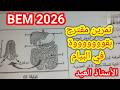 أقوى حل تمارين مقترح في البيام BEM 2026 