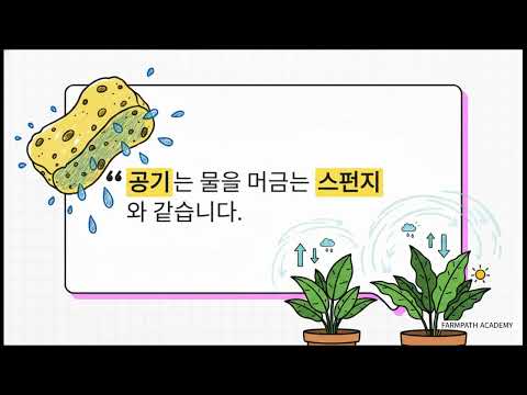 VPD란? 습도 퍼즐 풀기 영상 미리보기