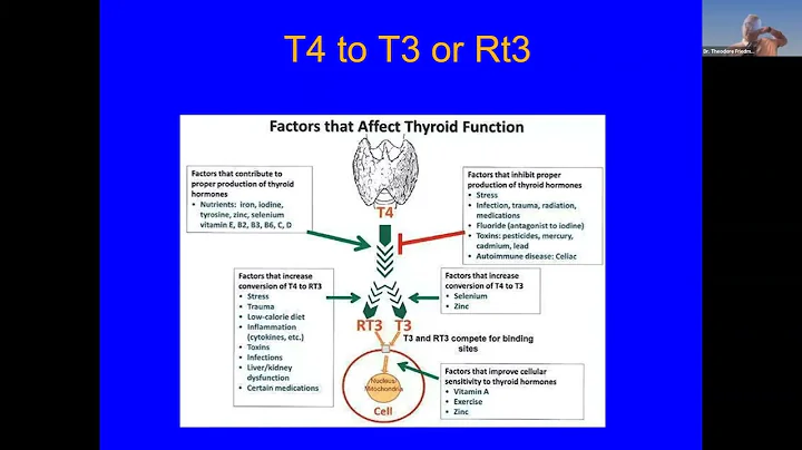 Reverse T3 in Patients with Hypothyroidism on Different Thyroid Hormone Replacement
