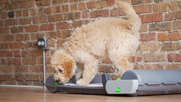 How to Install the NEW BrilliantPad Roll