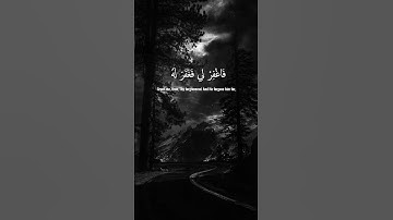 سورة القصص || آية 16 || صفحة 387 بصوت المنشاوي