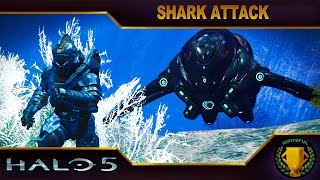 Halo 5 Custom Game : Shark Attack