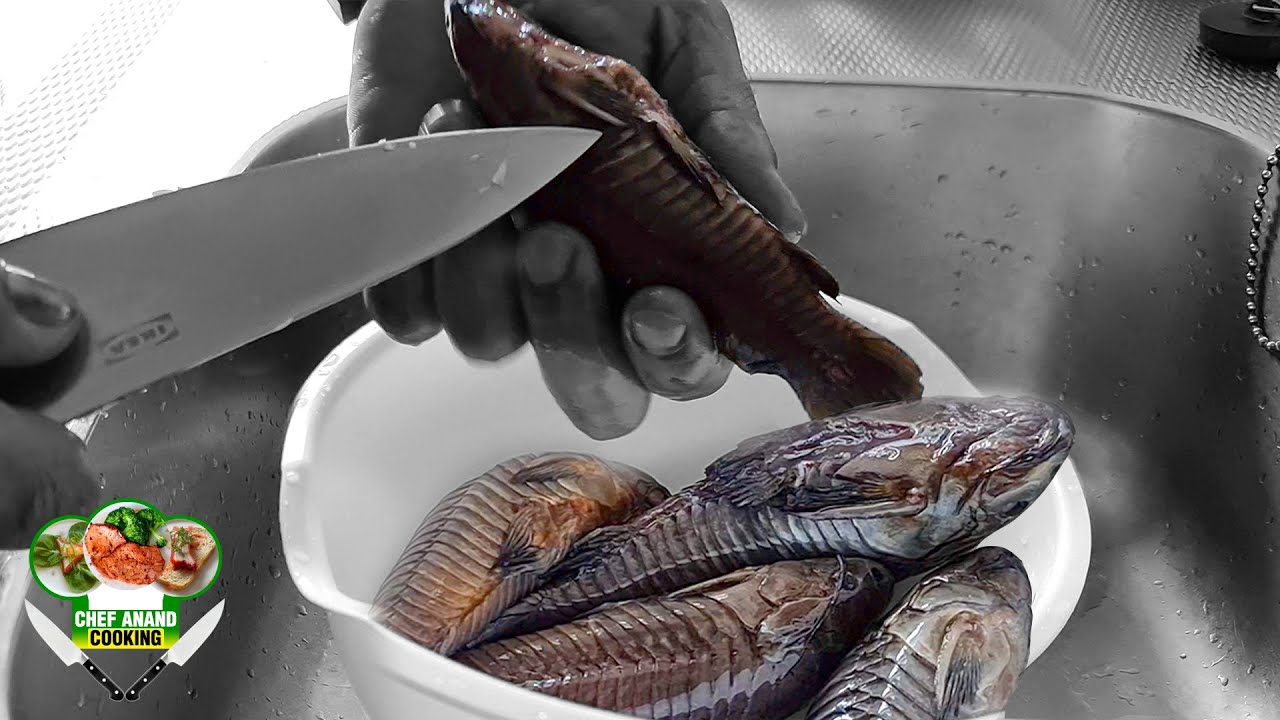KWIEKWIE VIS SNIJTECHNIEK | HOPOLOSTERNUM LITTORALE CATFISH CUTTING TECHNIQUE | Chef Anand Cooking