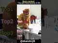 #PetLife #CutePets #AnimalLovers