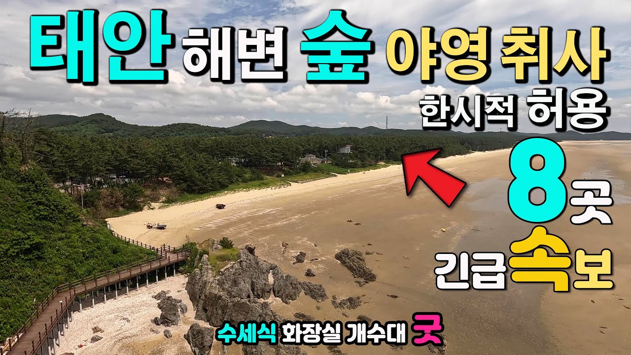 태안 국립공원 해수욕장 해변 숲  2025년 야영 취사 한시적 허용 8곳, 7월5일~8월17일 44일간, 캠핑카차박, 안면도 방포 기지포 삼봉 마검포 청포대 달산포 파도리 의항