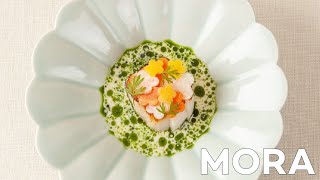 Mora A Celebration Of Soys Versatility And Culinary Harmony