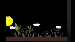 Plant Growth Simulation Prototype - Competing for sunlight