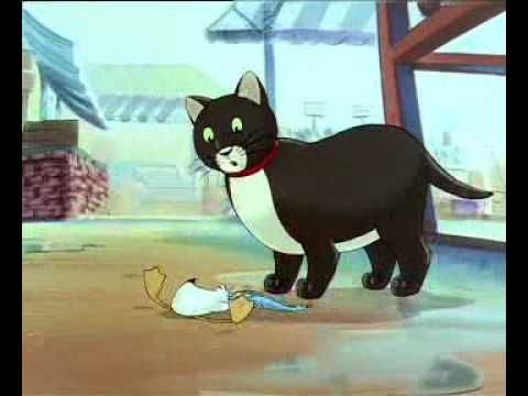 Historia de una gaviota y el gato que le enseño a volar-Ser un gato -  YouTube