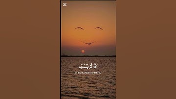 القران الكريم سورة لقمان