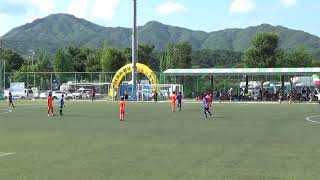20190802 철원 다슬기배 유소년 축구대회 타임2(스킬스톰 vs 춘천파나스)