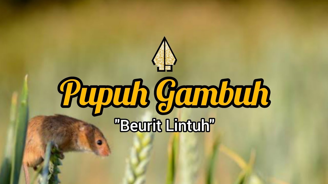 PUPUH GAMBUH | LIRIK