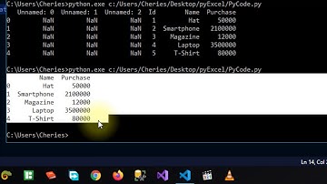 Excel Data Analysis dengan menggunakan Python