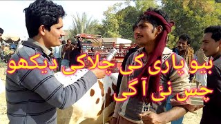 Watch \