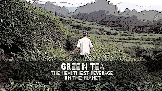Green Tea - The Healthiest Beverage on the Planet
