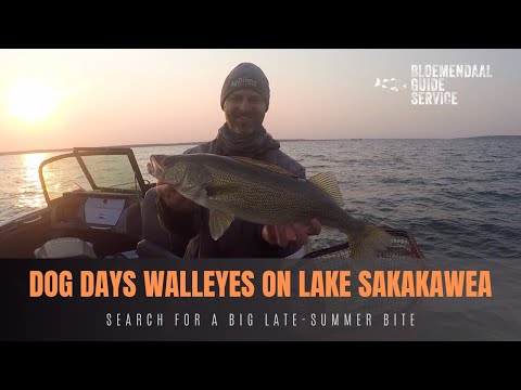 Wedding walleyes, 14-lber caught, Doggy days of summer – Target Walleye