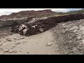 CLOSE-RANGE flash flood intercept on foot in Wahweap Wash, Utah