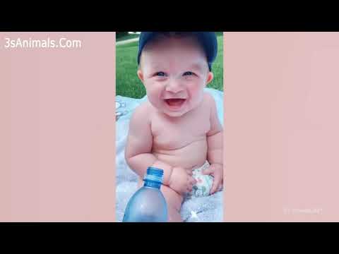 Wideo: Goście I Małe Dziecko