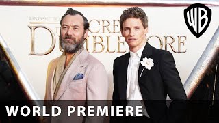 Fantastic Beasts The Secrets Of Dumbledore World Premiere - Warner Bros. Uk