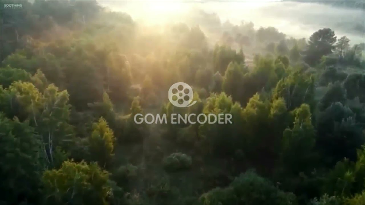 3 月５０万円　マーケティングＦＸ ノウハウもロジックも販売ページで公開 特典 評判 購入 感想 お試し 動画 ブログ 評価 ネタバレ レビュー