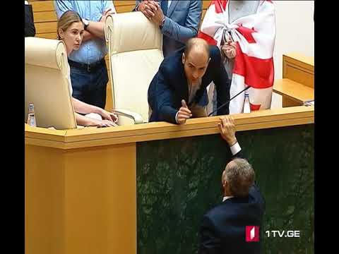 „ევროპული საქართველოს“ წევრებმა სერგეი გავრილოვის საქართველოს პარლამენტში ყოფნა გააპროტესტეს