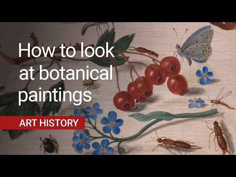 Van Kessel's insect paintings in 10 minutes | National Gallery
