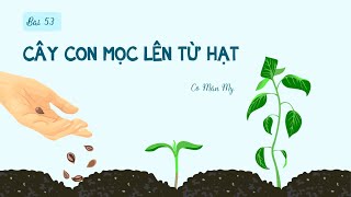 Bài 53. Cây con mọc lên từ hạt - Khoa học 5 - OLM.VN