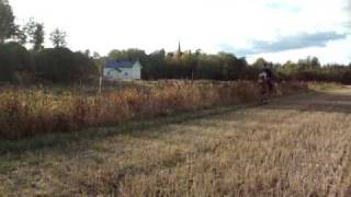 Karhu Laukkaa Hepoosella