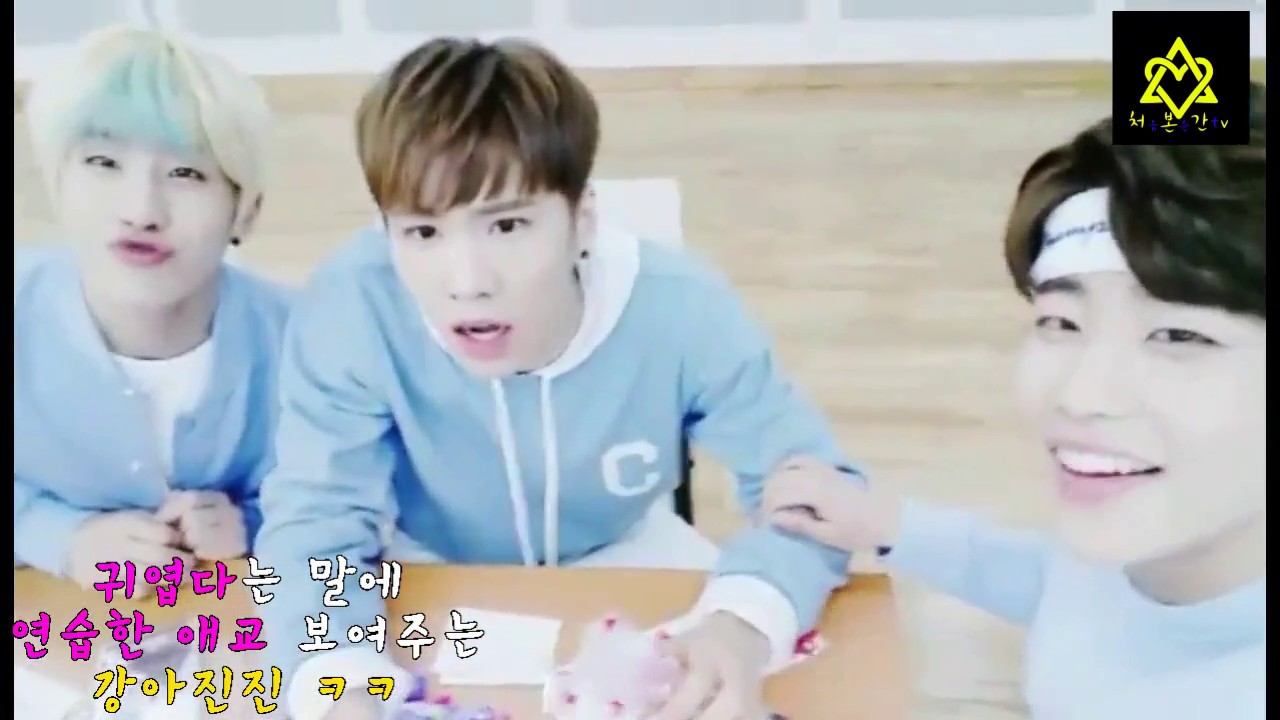 [아스트로/진진] 강아진진의 숨겨진 리더쉽(+순둥美)