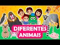 Os Oliveirinhas - Diferentes Animais #18