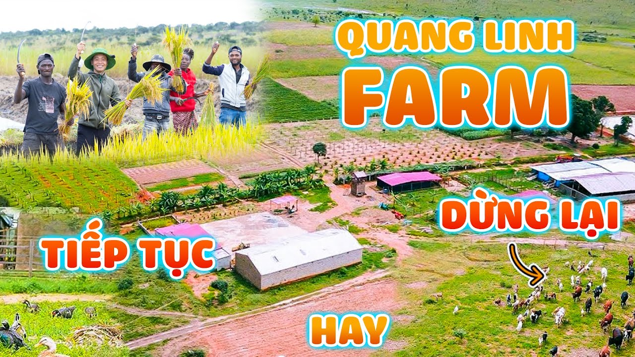 Quanglinhvlogs || Quang Linh Farm "Dừng Lại" Hay "Tiếp Tục"???