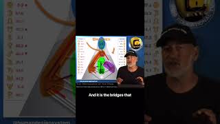 Human Design Academy By Ra Uru Hu Quadrupole Split Jovian Archive Media Pte. Ltd