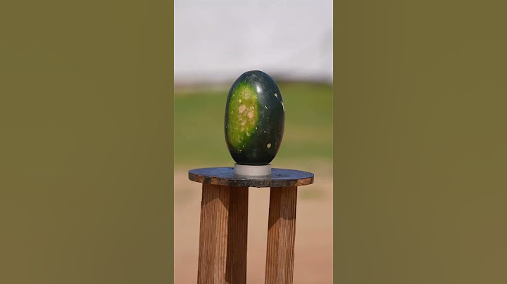 World most powerful egg 🥚🥚1000 Km/h