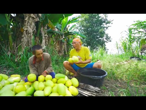 Burgo Timun Suri | JEJAK SI GUNDUL (24/02/26)