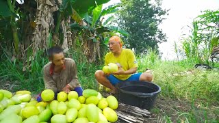 Burgo Timun Suri | JEJAK SI GUNDUL (24/02/26)