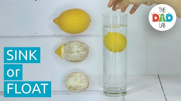 Exploring Density with Lemon | Sink or Float