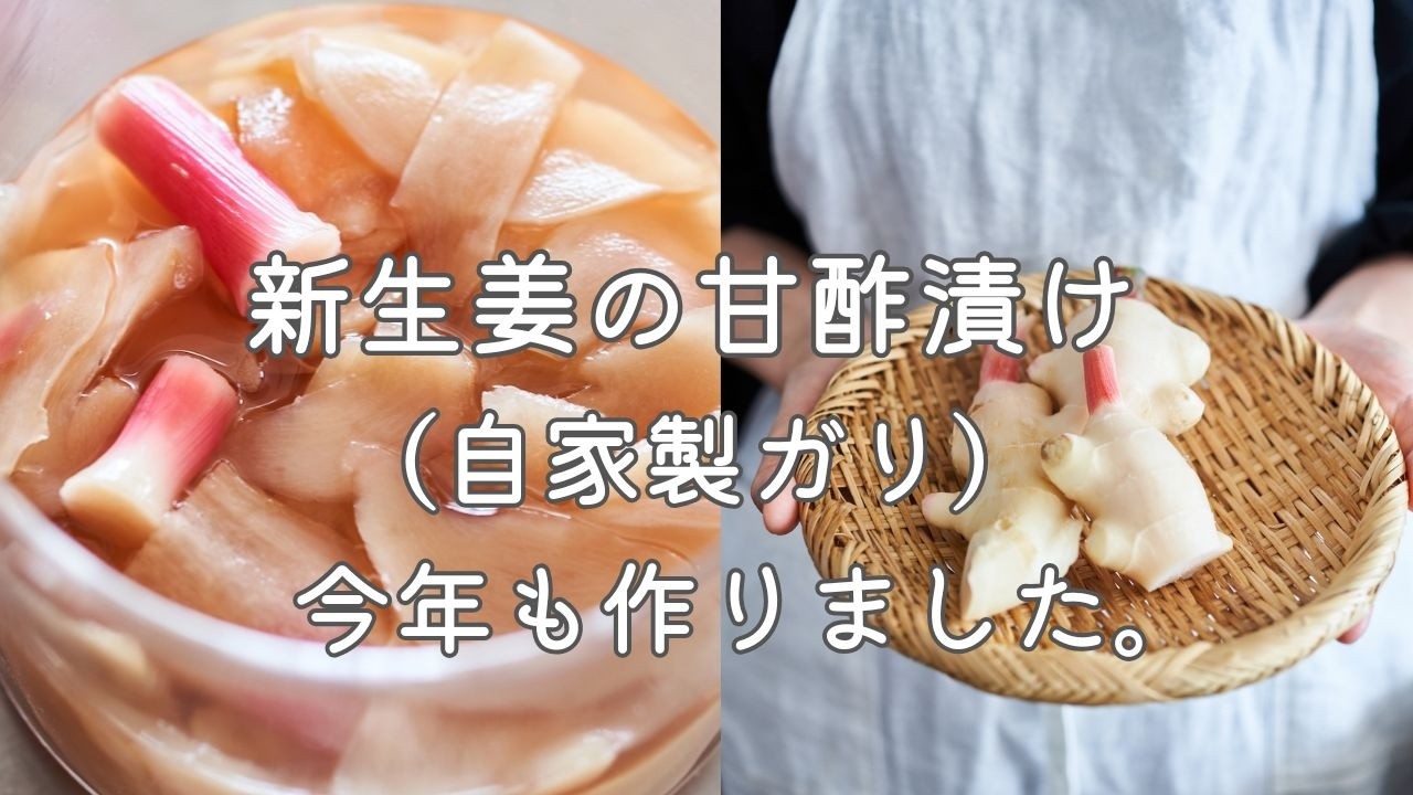 I made pickled young ginger again this year. - YouTube