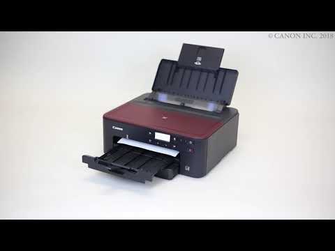 Entfernen von gestautem Papier: innerhalb des Druckers (TS700 series)