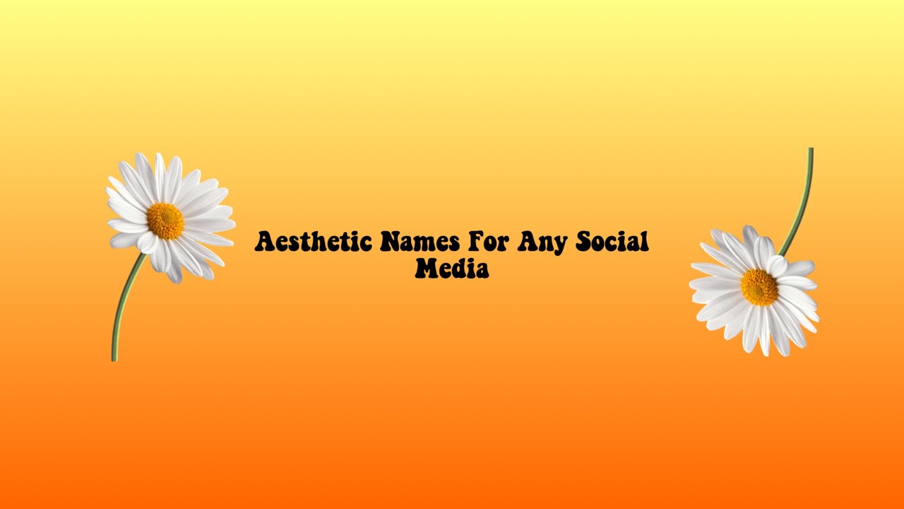 Aesthetic Names For Any Social Media Youtube