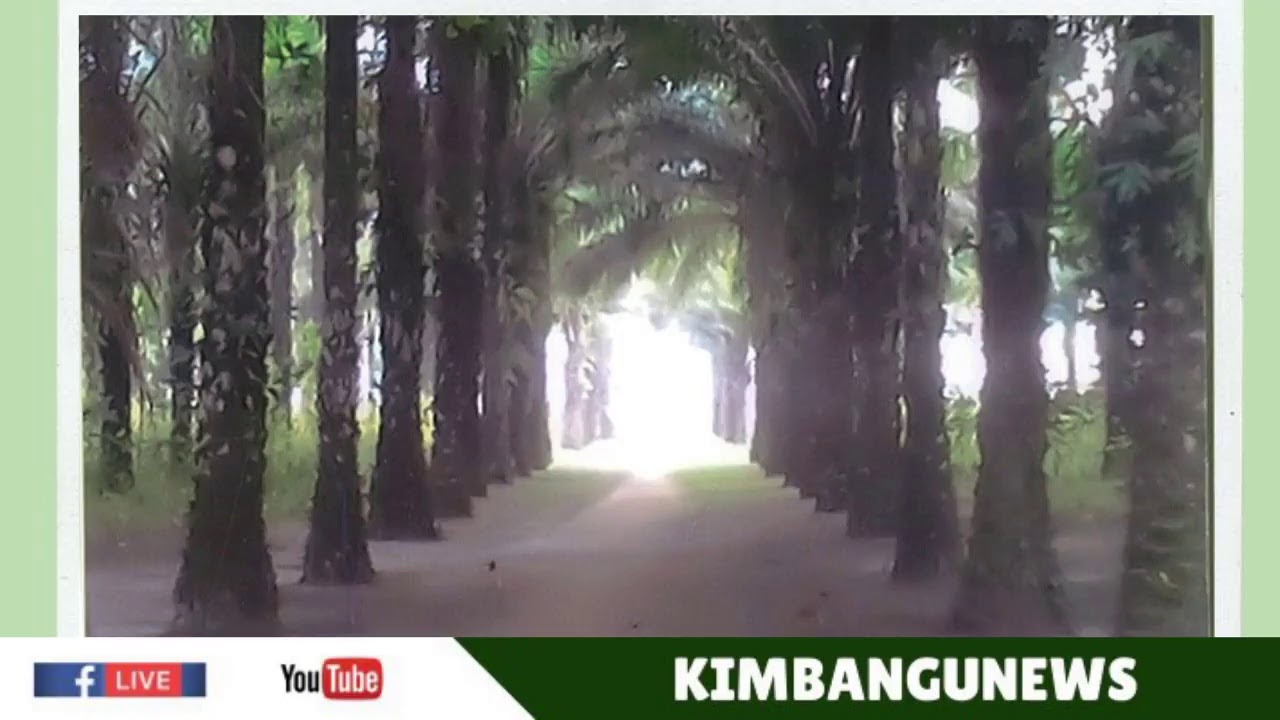 MUSIQUE  KIMBANGUISTE, DMS ALBUM : NDINGA NVULUZI