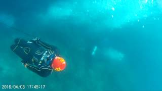 CWT / 20160403(p1) / MDR(Moalboal Clubhari)