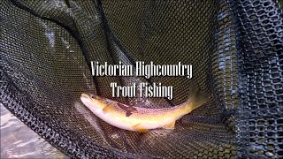 Trout fishing with body lures / Vic HighCountry