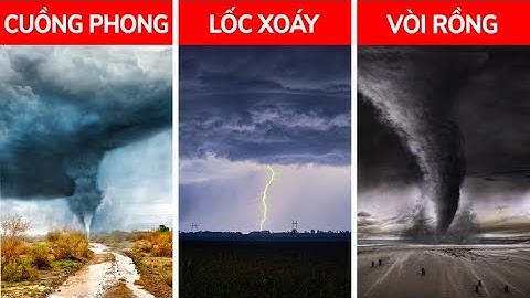 Bão, Lốc xoáy, Cuồng phong – Khác gì nhau?