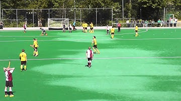 LOHC JA1 - Alecto JA1: 4 6