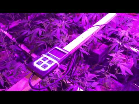 BLE LED 2 Light Configuration (Separated)